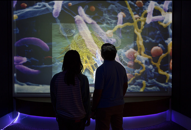 [Visitors in the Museum of Science Hall of Human Life]